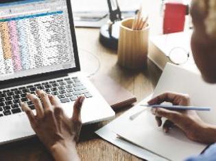 A person reviewing spreadsheets on a computer.