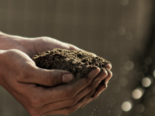 soil in hands